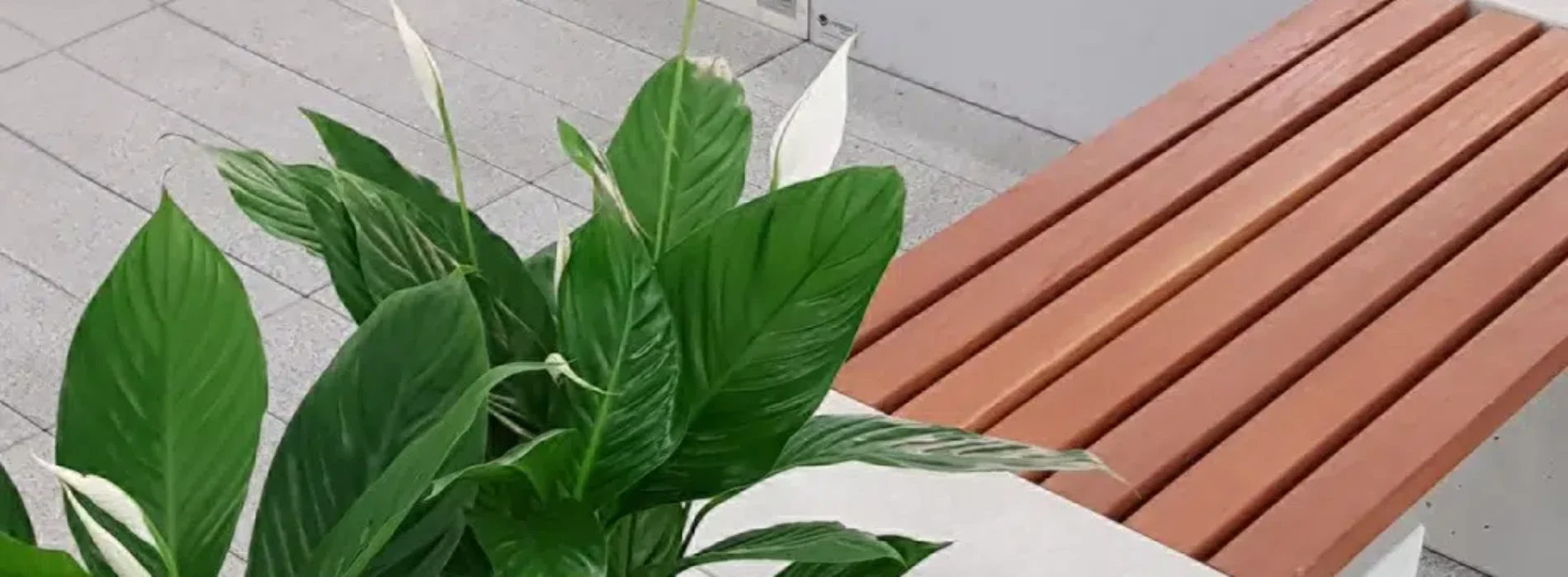 Mała architektura z betonu jako element premium w przestrzeni publicznej